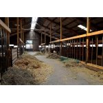 Tierzucht & Weidezaun
